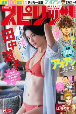 Weekly Big Comic Spirits杂志写真_ 田中道子 2017年No.28 写真杂志[8P]